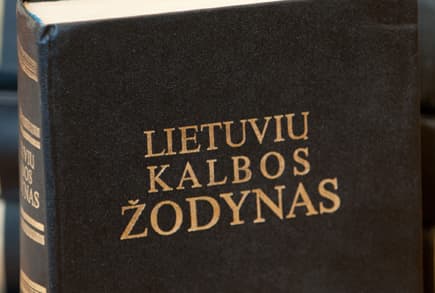 LT KT išaiškinimų išaiškinimai apie dvi pilietybes (I dalis)