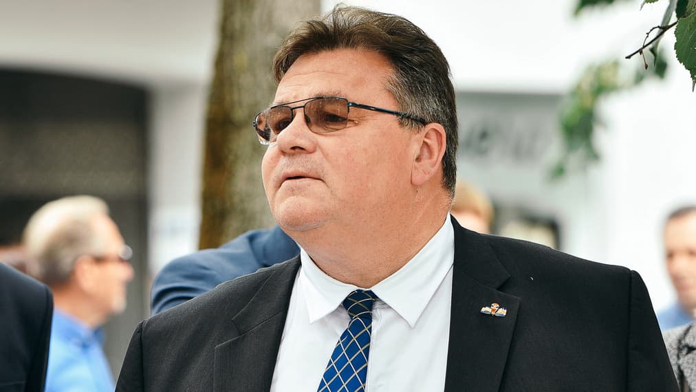 N. Oželytė sukritikavo fašistuojantį Putino kloną A. Juozaitį ir pasiūlė Lietuvai idealaus Prezidento kandidatūrą