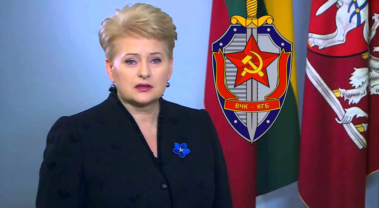 Seimo nariui N. Puteikiui užkliuvo Lietuvos prezidentės D. Grybauskaitės mokslai KGB mokykloje
