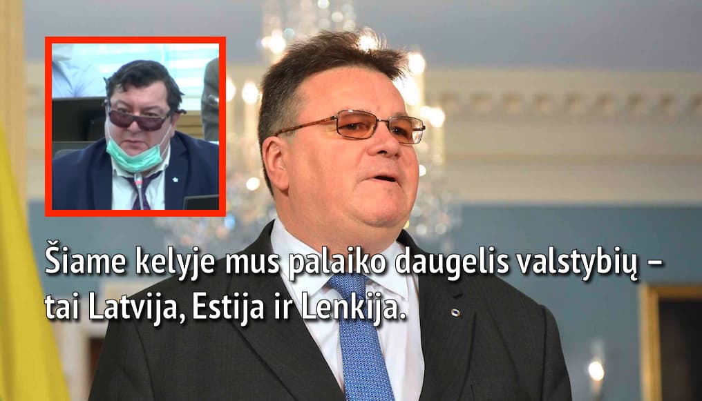 Balandžio 7 d. LR Seimas smūgiavo Rusijai – kitos epidemijos neslopsta ir koronaviruso metu