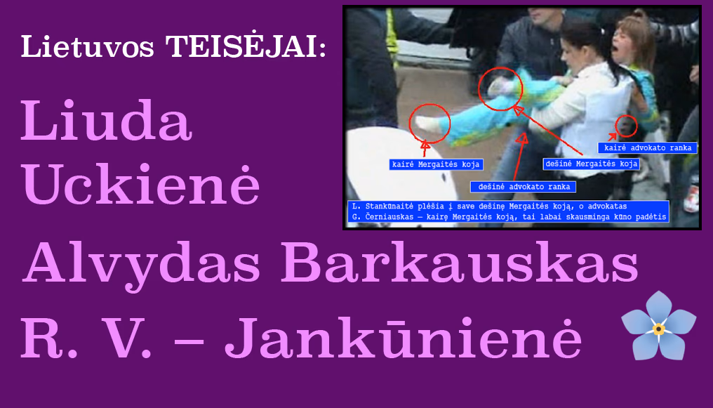 Lietuvos teismas: Deimantės Kedytės atžvilgiu prievarta nebuvo naudojama