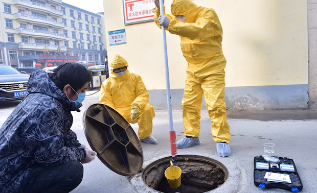 Britų epidemiologas: Covid-19 atsirado ne iš šikšnosparnių Kinijoje, o iš kanalizacijos Ispanijoje
