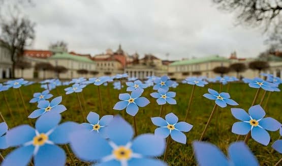 Sausio 13-osios simbolis – Neuužmirštuolė.