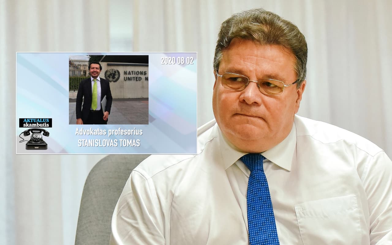 Dėl Deimantės Kedytės vyriausybė vėlavo atsakyti net 21 dieną, to priežastis kol kas nežinoma