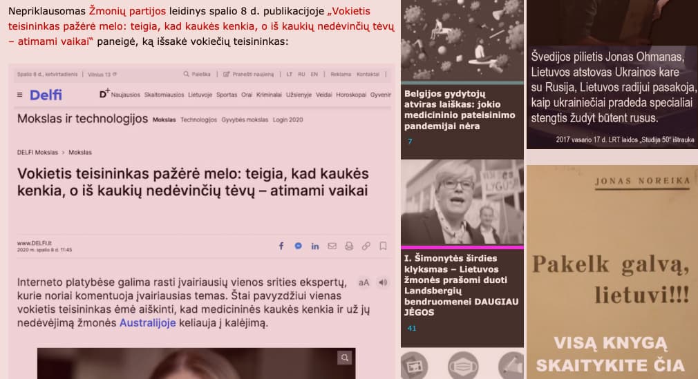 E. Vaitkus: DELFI tikslas buvo paslėpti esminę vokiečio informaciją