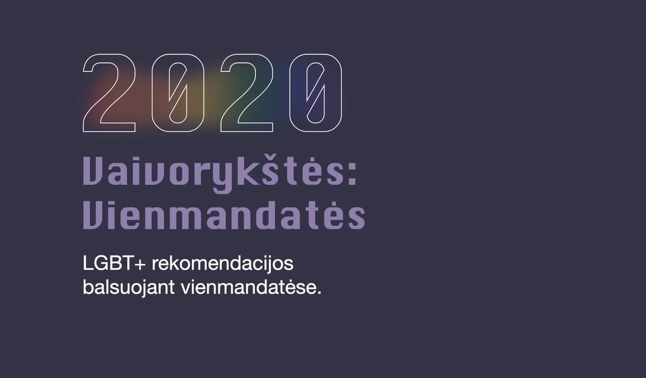 Gidas, padėsiantis apsispręsti balsuotojams ir antrajame Seimo rinkimų ture