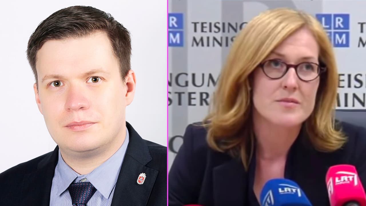 Vyriausybės atstovė: S. Tomas meluoja, kad Deimantė Kedytė dingo, kai kiekvienas lietuvis žino, kad ji yra saugoma