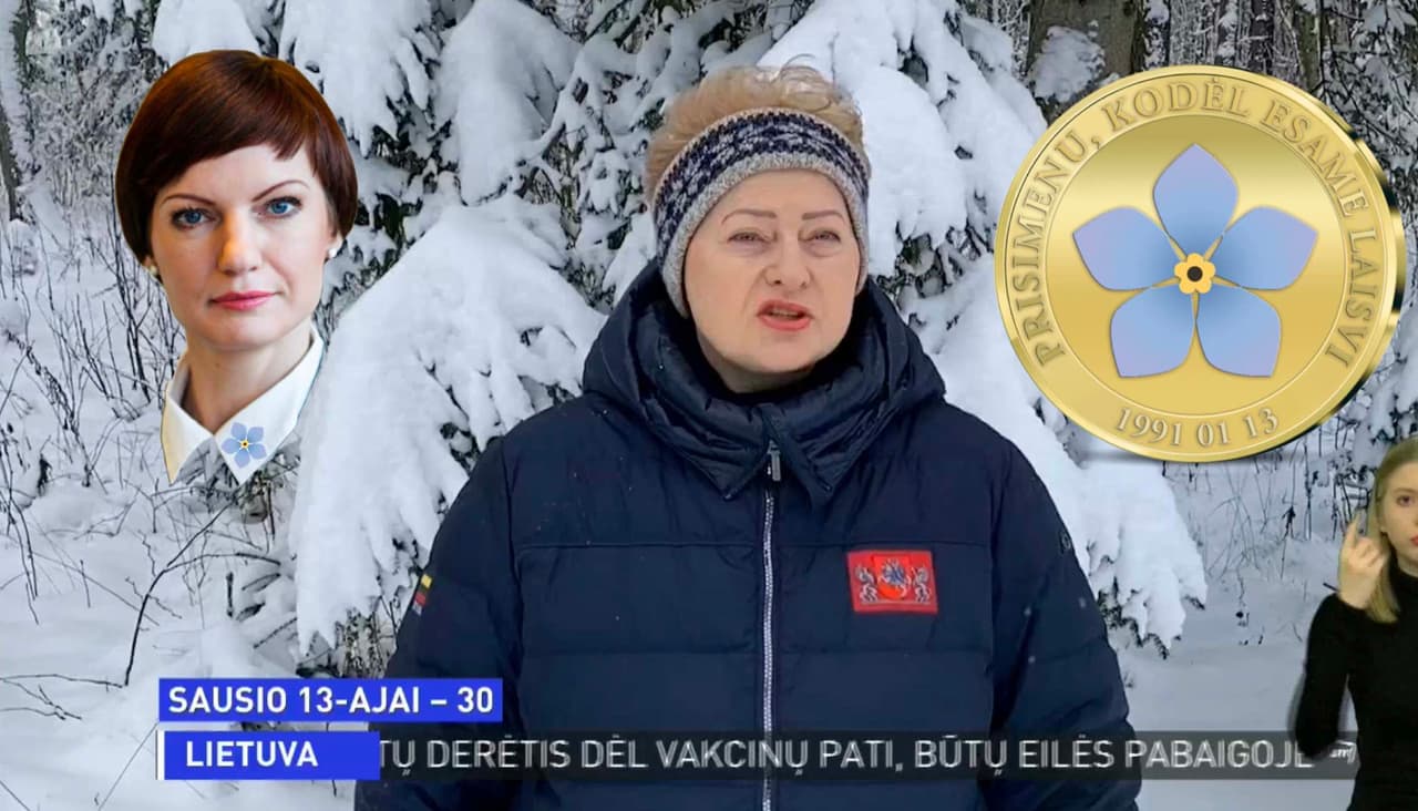 M. Garbačiauskaitė-Budrienė pademonstravo didelį išmanumą išniekinant Sausio-13-osios atminimą