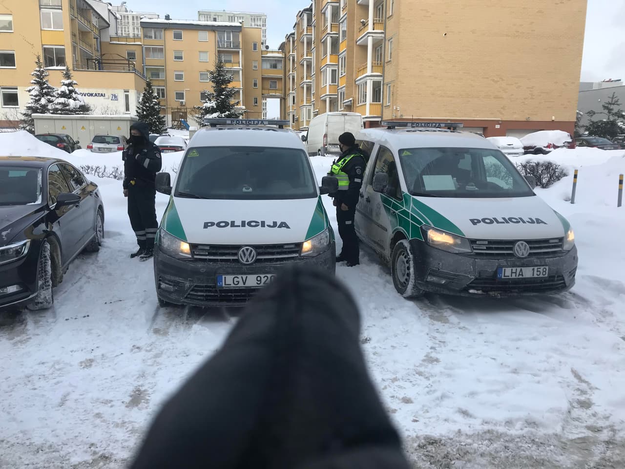 Saga apie baisųjį Zigmą