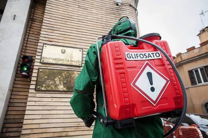Meksika uždraudė GMO. Kokie yra tolesni veiksmai?