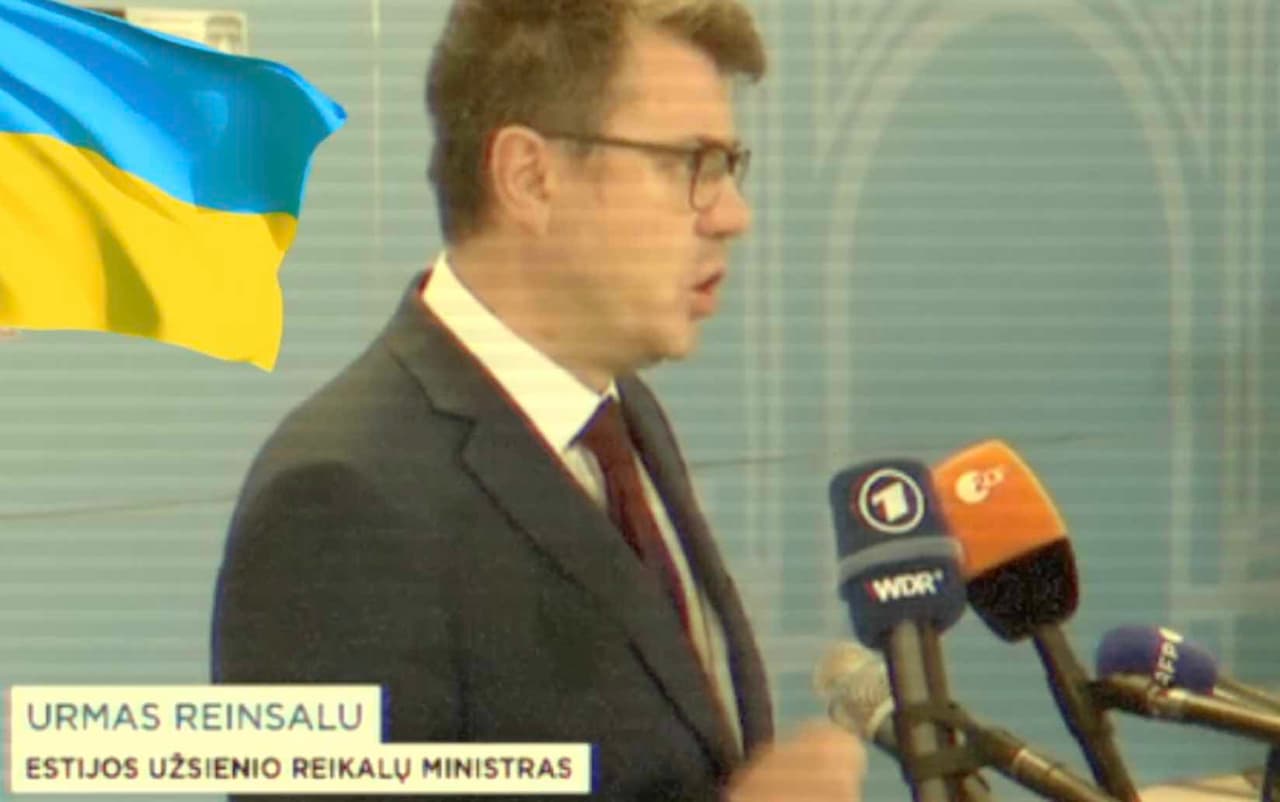 Estas laikydamas kumštuką drąsiai išrėžė tiesą apie Ukrainai šykščias NATO valstybes