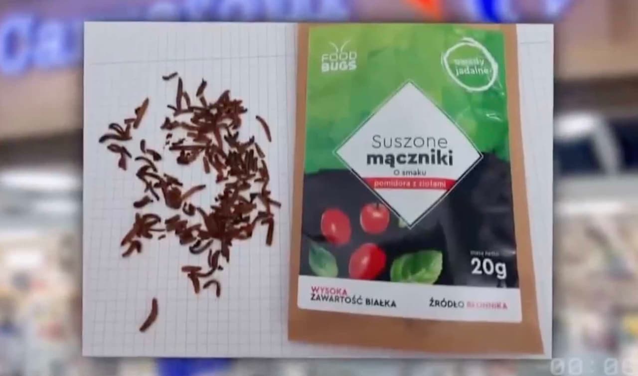 Lenkijoje sparčiai didėja maisto pasiūla iš kirmėlių ir vabalų