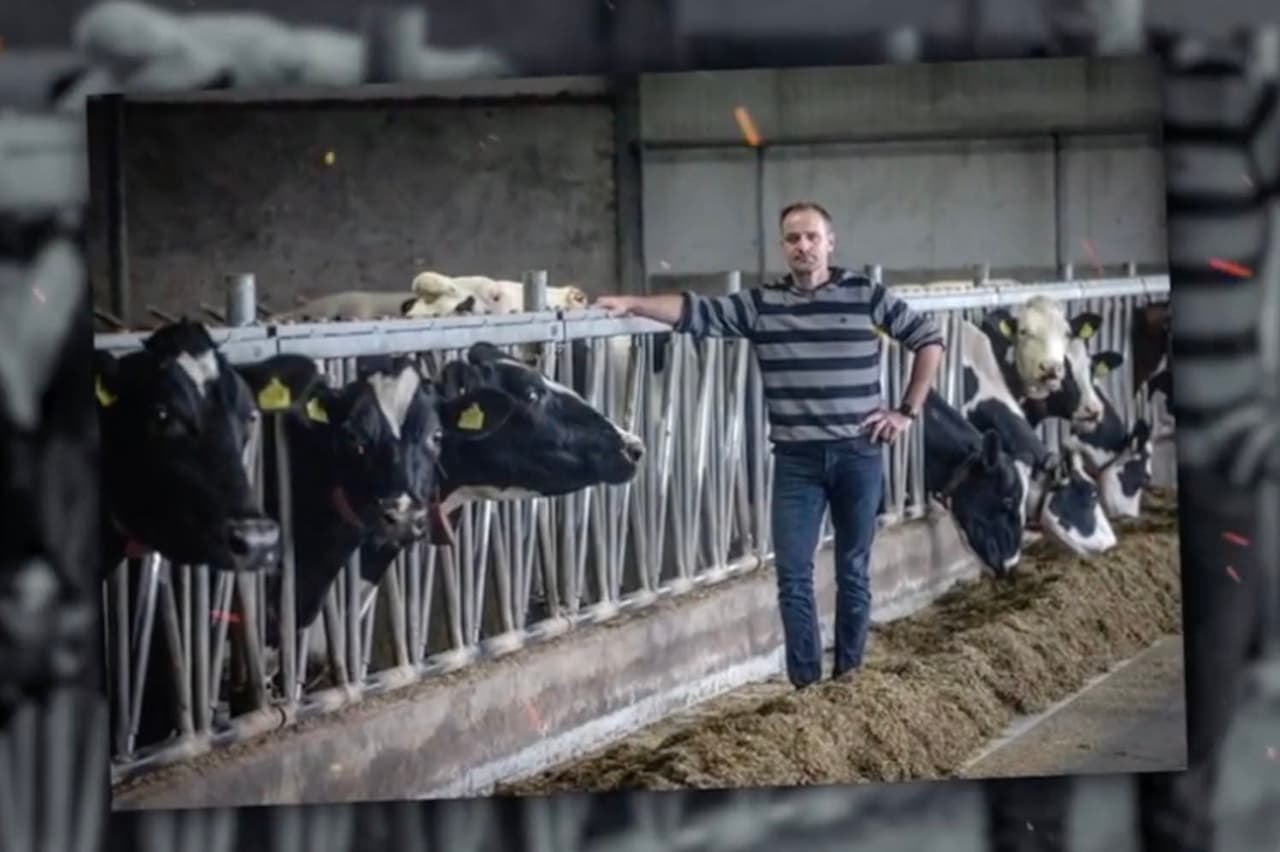 Saugant gamtą, Nyderlanduose norima įgyvendinti tualetų karvėms viziją
