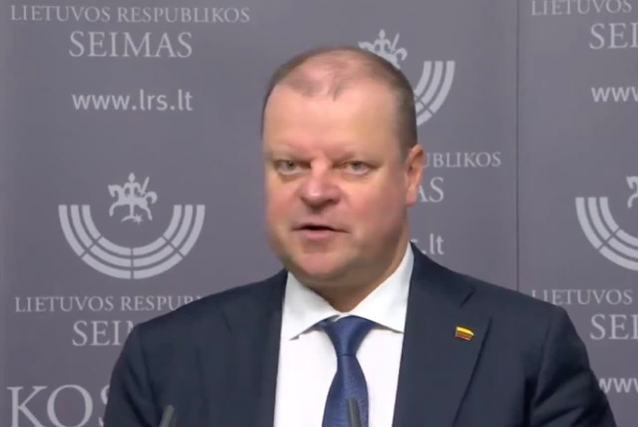 Lietuvos demokratų lyderis Skvernelis perspėjo, kad į Seimą nešamas Frankenšteinas