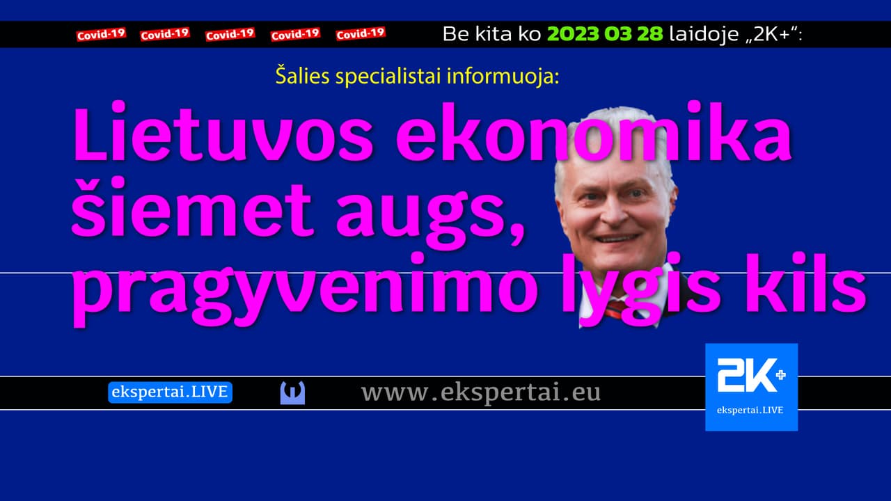 Lietuvos ekonomika šiemet augs, pragyvenimo lygis kils