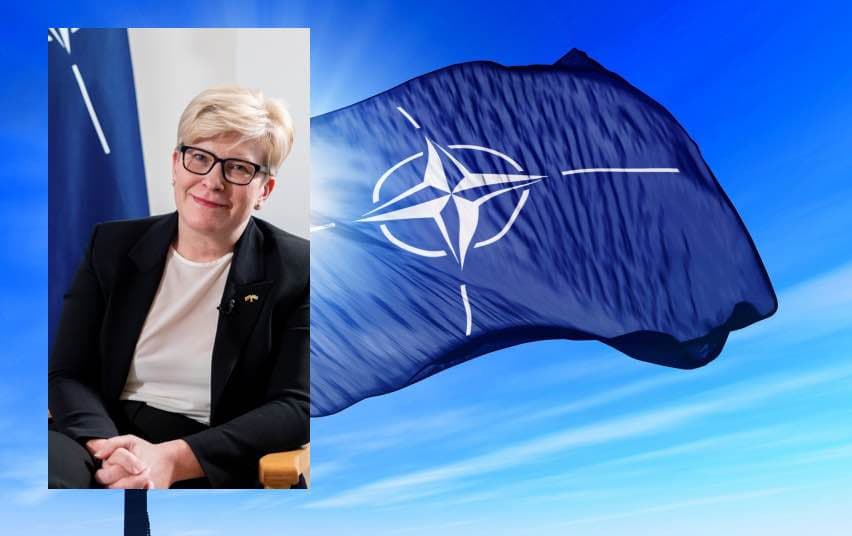 Turime padaryti viską, kad Ukraina kaip galima greičiau taptų NATO nare