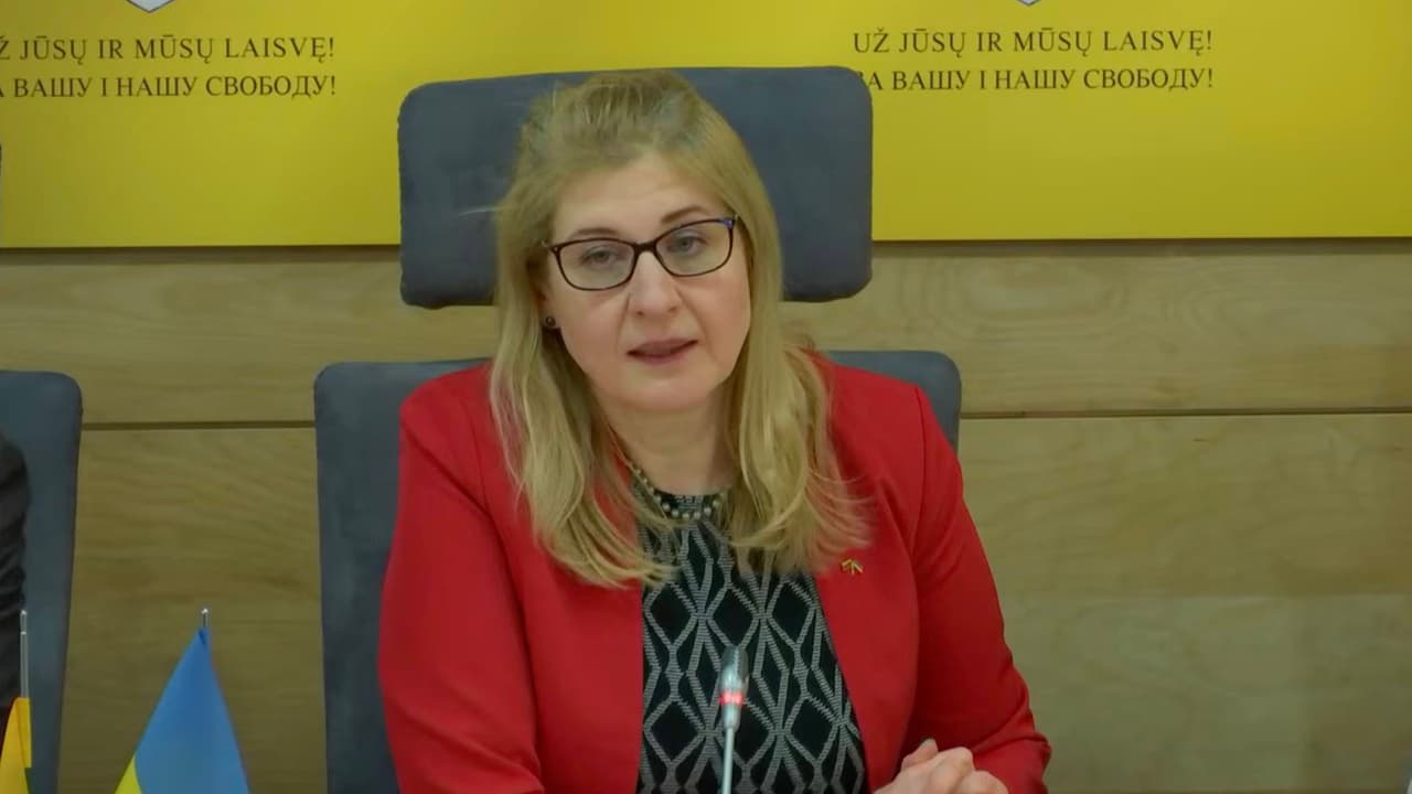 Konstitucijos 12 straipsnio keitimas referendume – kokie tikrieji tikslai šio unikalaus projekto?