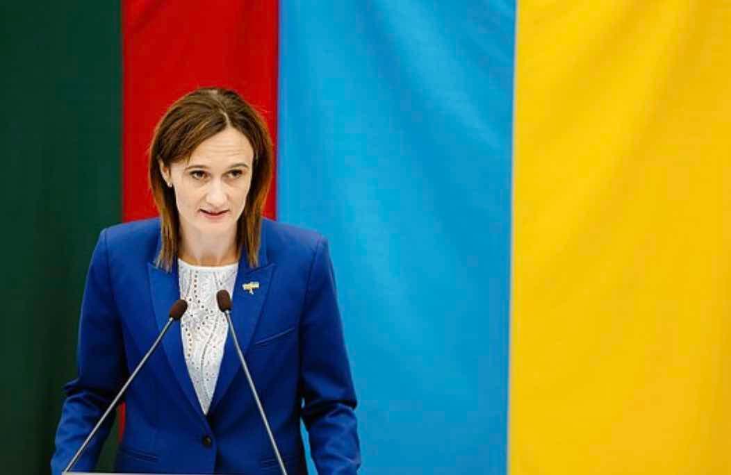 Čmilytė-Nielsen: žmogaus teises gerbiančią visuomenę pirmiausia užauginkime savyje