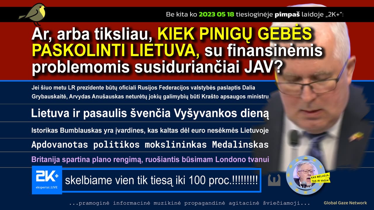 Prašmatnių tinklalapių kūrėjas Bumblauskas yra įvardinęs euro nesėkmės kaltininką Lietuvoje