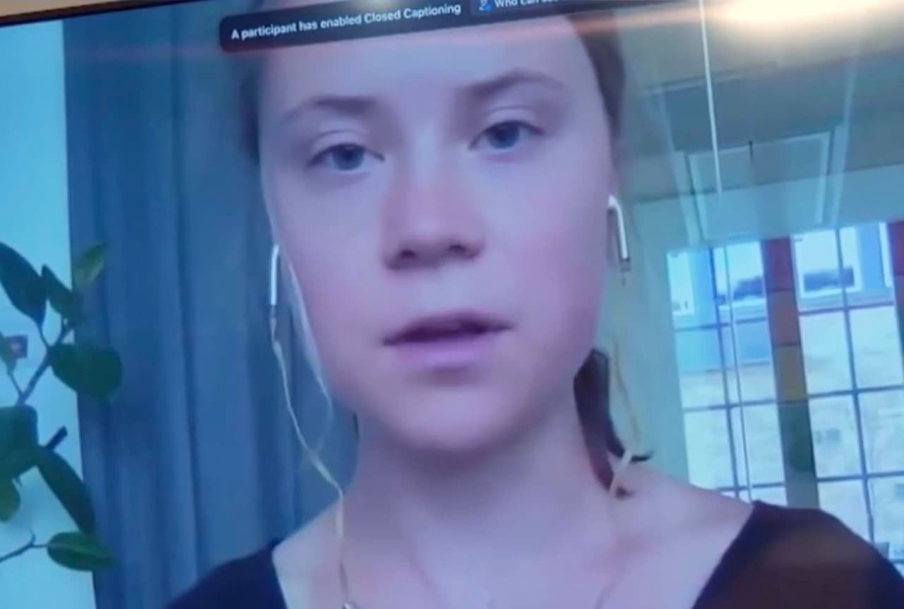 Vladimiras Zelenskis konsultavosi su Greta Tunberg