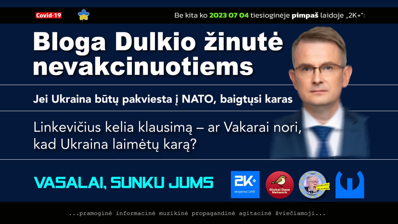 Ukrainai būtinas branduolinis skėtis, neslepia Linkevičius