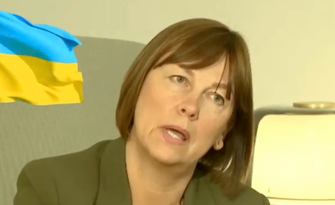 Miliūtė sužinojo, kad NATO nekariauja su Rusija