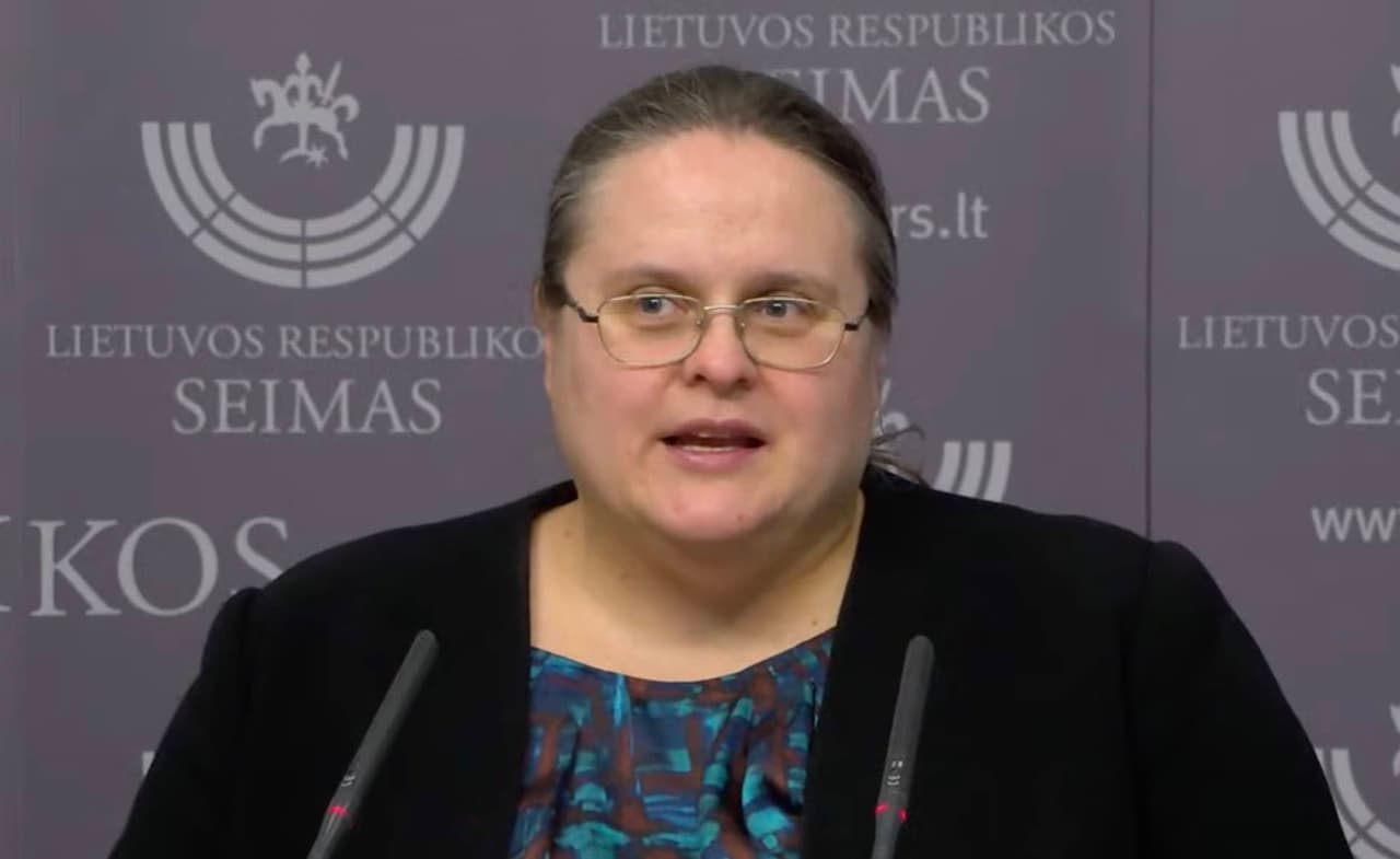 Širinskienės nedomina galimi Seimo rinkimų įstatymo trūkumai