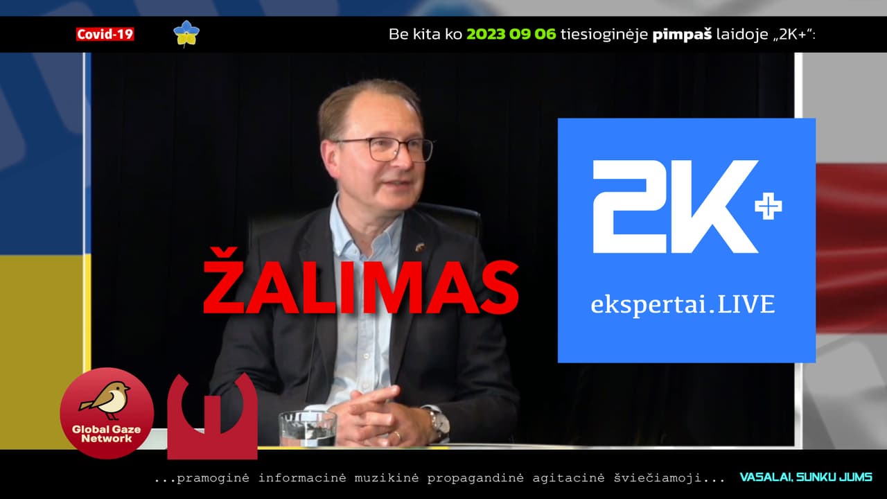 Žalimas, Vasia, žydas Rabinovičius, Putino dukra ir t.t.