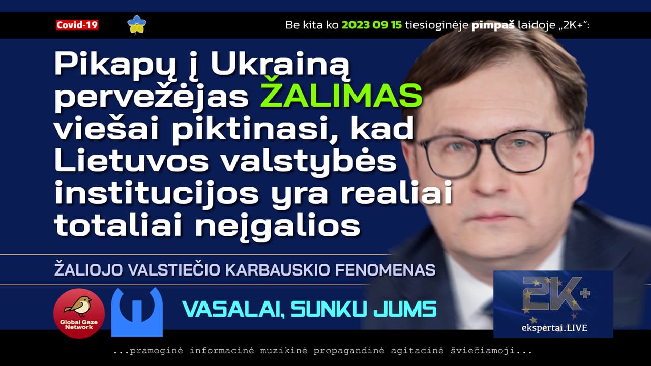 Žalimas nusivylęs, kad tiek žemai krito Konstitucinis teismas. Karbauskis neslepia nieko nesuvokiantis