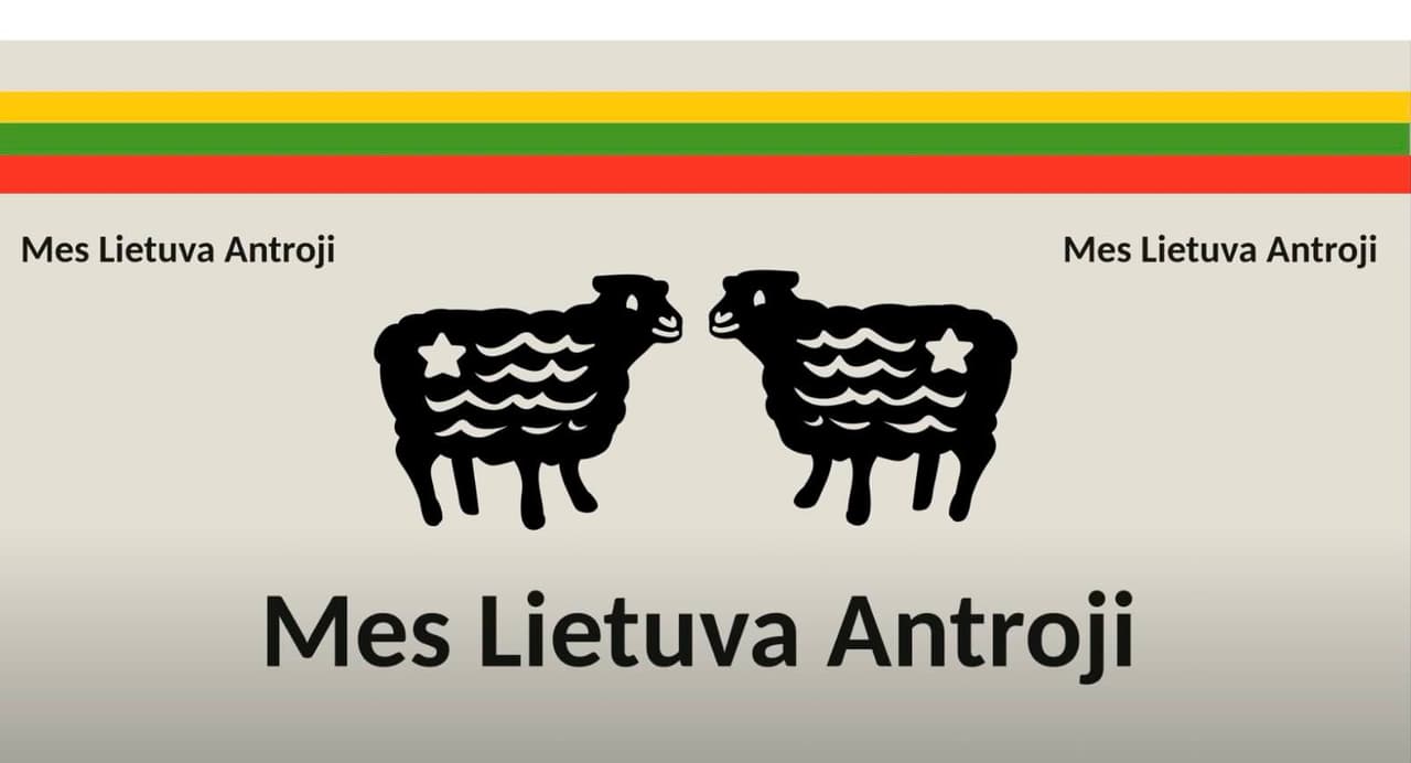 Partijos kūrimas – Mes Lietuva Antroji