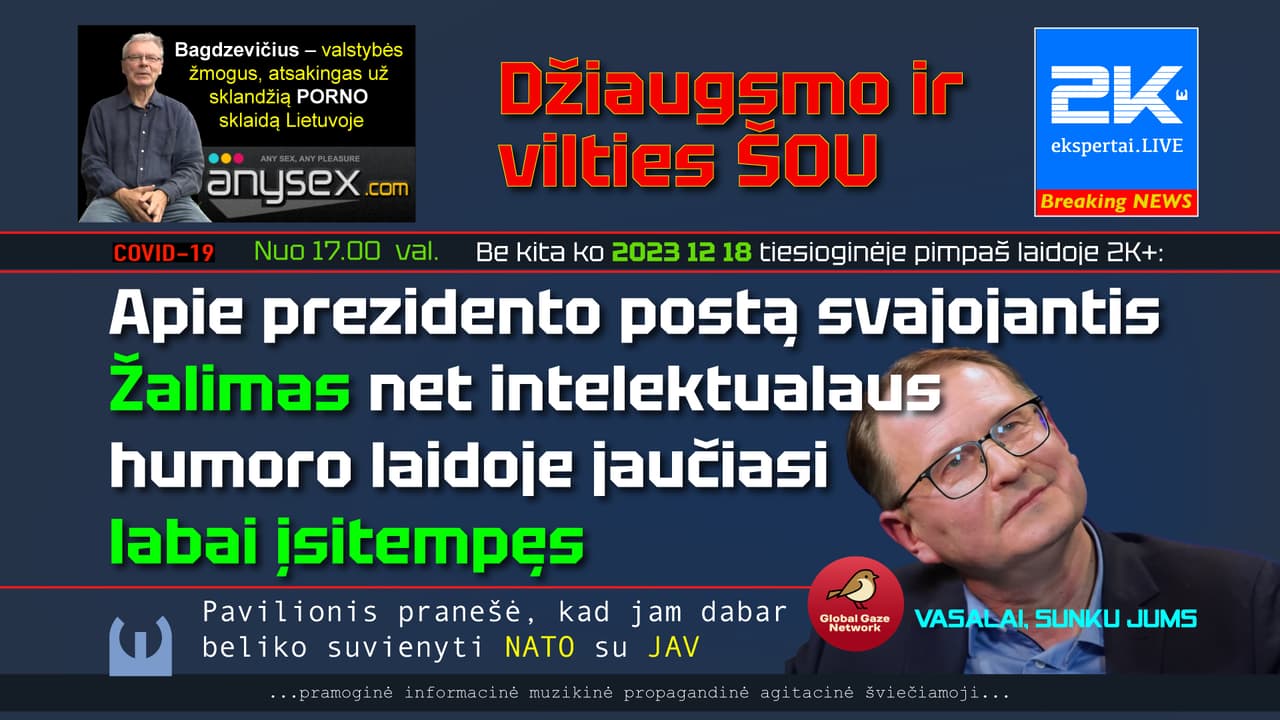 Stambulo konvencijos neratifikavimas, Žalimui tapo paskata imtis valstybės vadovo pareigų iniciatyvos