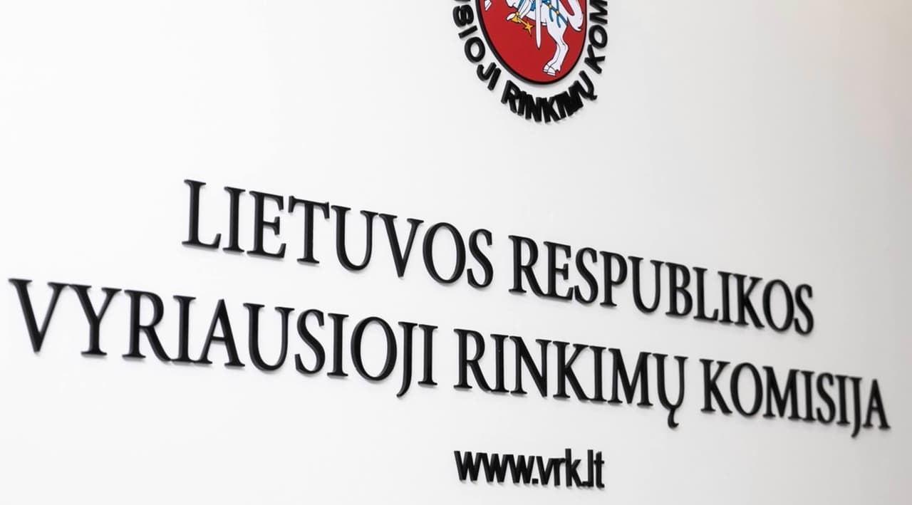 Aktyvėja prezidento rinkimų kampanija, Seimo rinkimams kuriama nauja partija