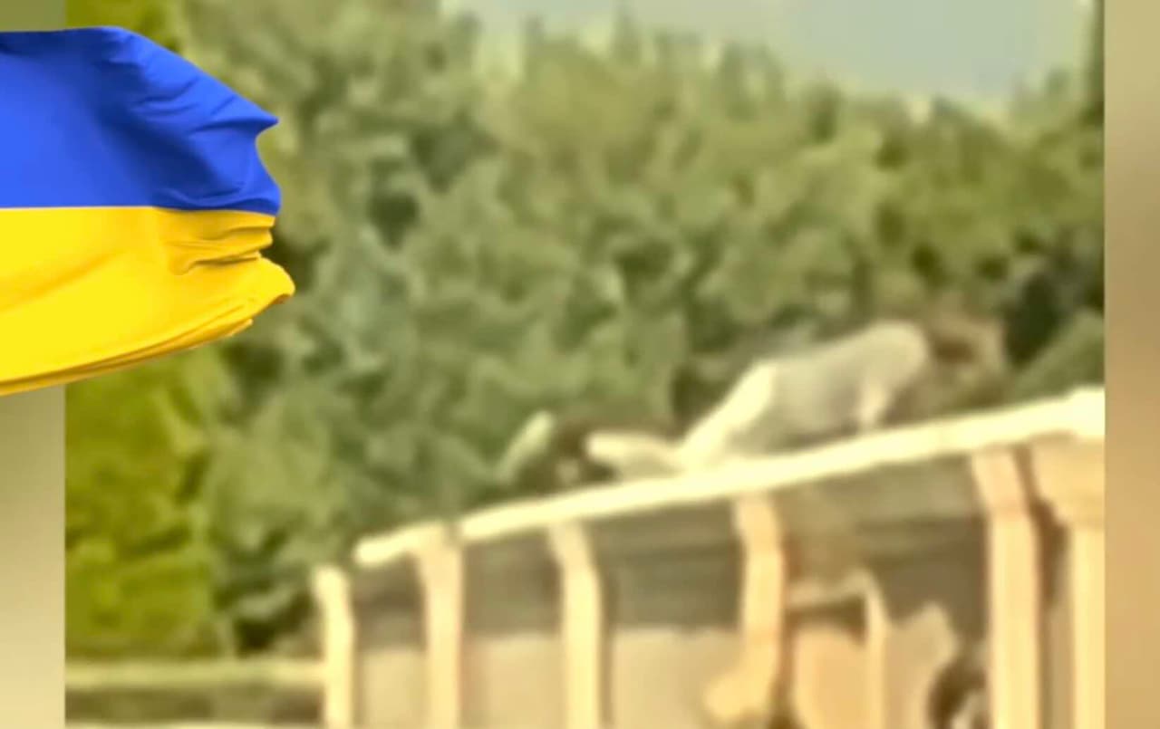 LRT parodė ant stogo šliaužiantį vyrą, kuris esą šovė į Trampą