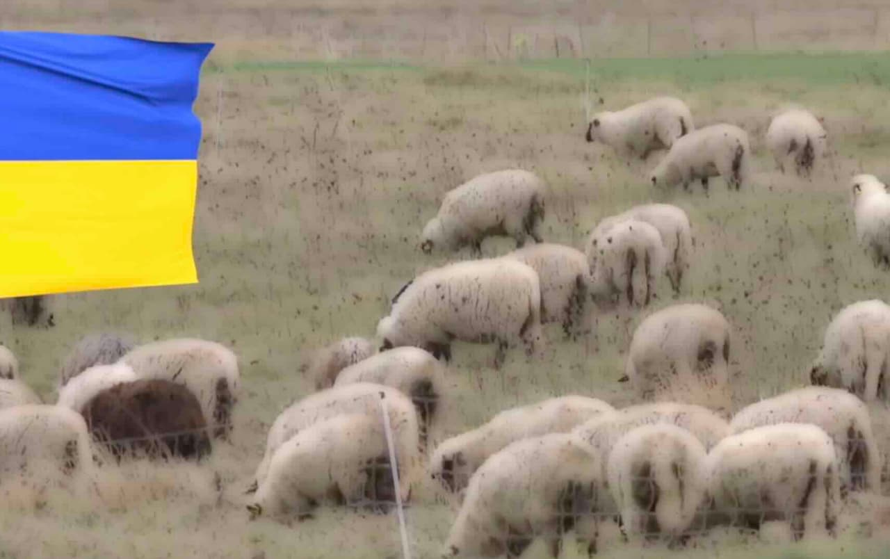 Latviai migruojantys į Lietuvą, privalo būti sustabdyti