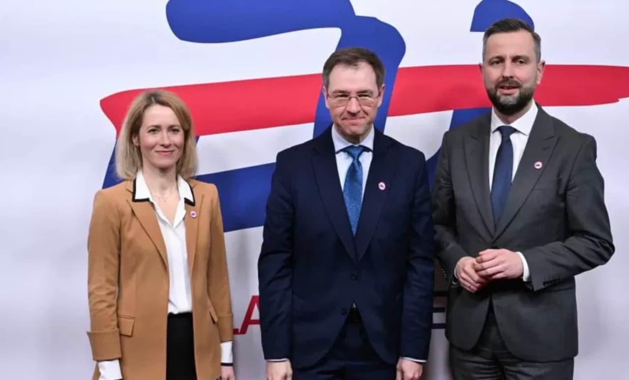 Karolis Aleksa (viduryje) su kitais Europos lyderiais.