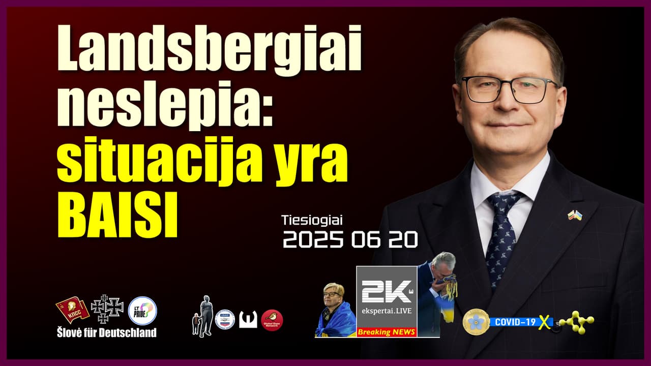 Nukentėjusysis Žalimas ėmė drabstyti Lietuvą purvais (komentuoja Vaišvila, Pavlovičius ir Nakas)