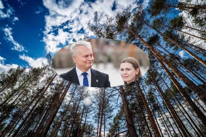 Valstybės prioritetas – Rusijos atgrasymas: miškų statuso pakeitimas stiprina Lietuvos karinę galią