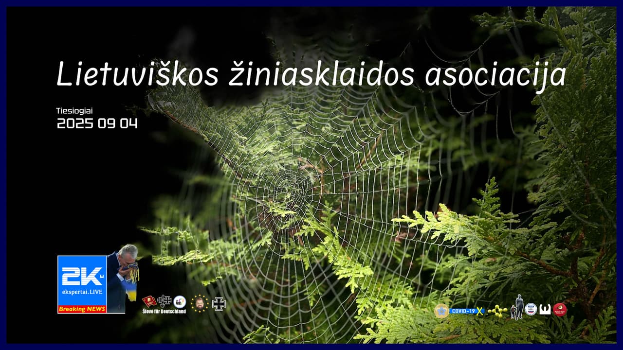 Lietuviškos žiniasklaidos asociacija