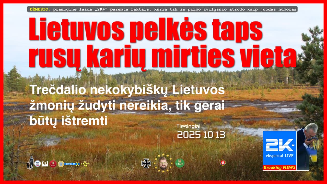 Būsimo karo baimė Lietuvos gyventojams garbės nedaro