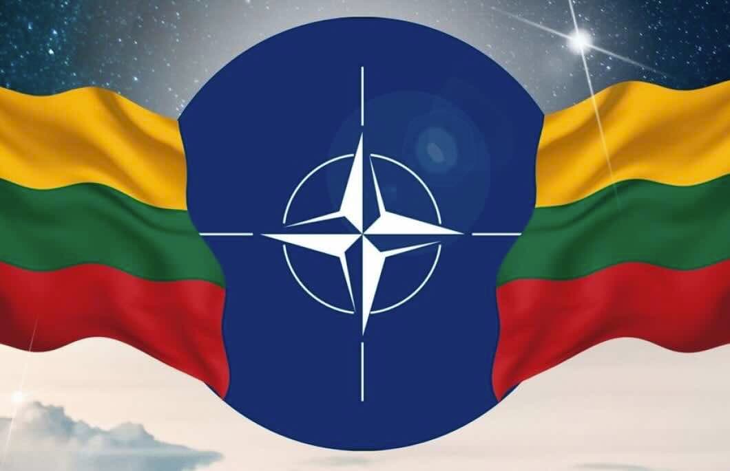 Lietuvoje NATO menkinamas kiekvieną dieną. Kas sustabdys provokatorius?