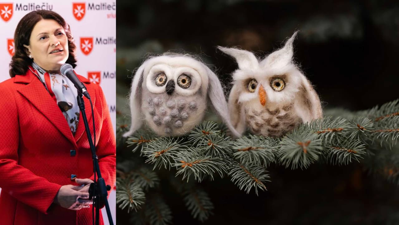 Pirmoji valstybės ponia Nausėdienė kviečia prisijungti