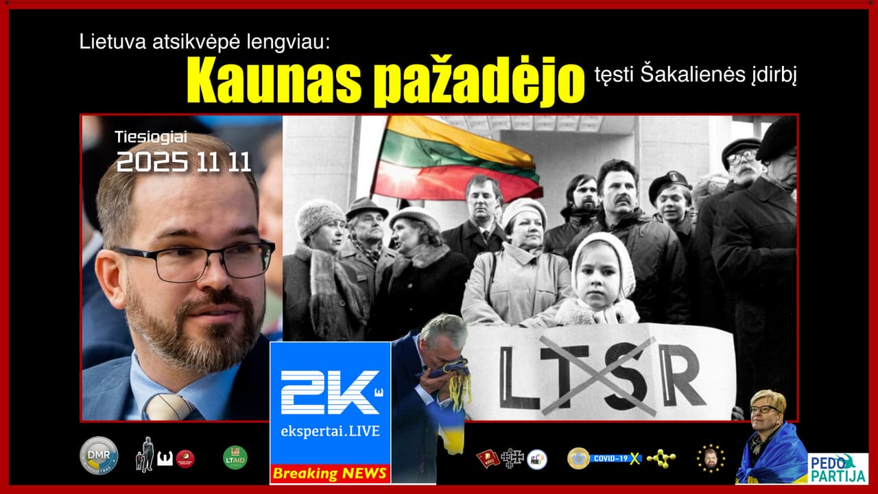 Kauno viltis – dar didesnis Rusijos atgrasymo finansavimas