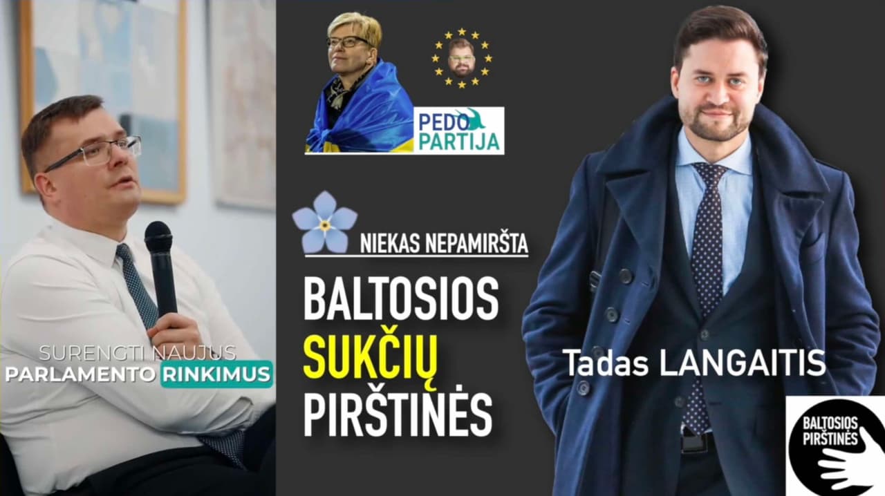 Landsbergių lyderis Kasčiūnas su savo gerbėjais kalbasi apie naujų Seimo rinkimų galimybę