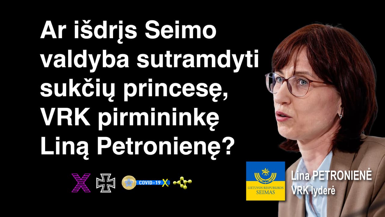 Ar išdrįs Seimo valdyba sutramdyti sukčių princesę, VRK pirmininkę Liną Petronienę?