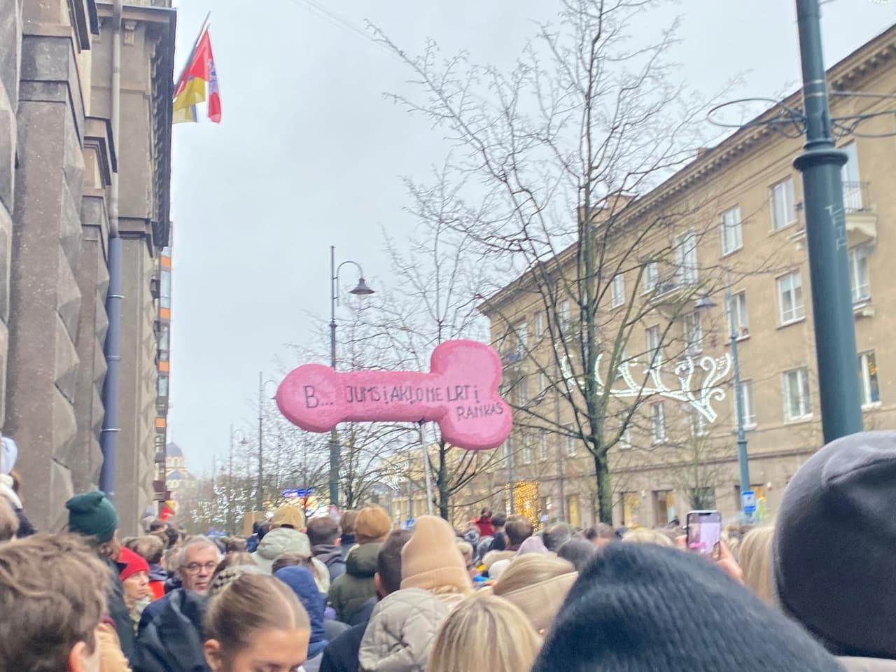 Prie Seimo susirinko tūkstančiai protestuotojų, gynė teisę į buką propagandą ir dezinformaciją