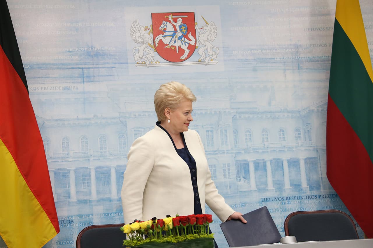 Prezidentė Dalia Grybauskaitė. Martyno Ambrazo (ELTA) nuotr.