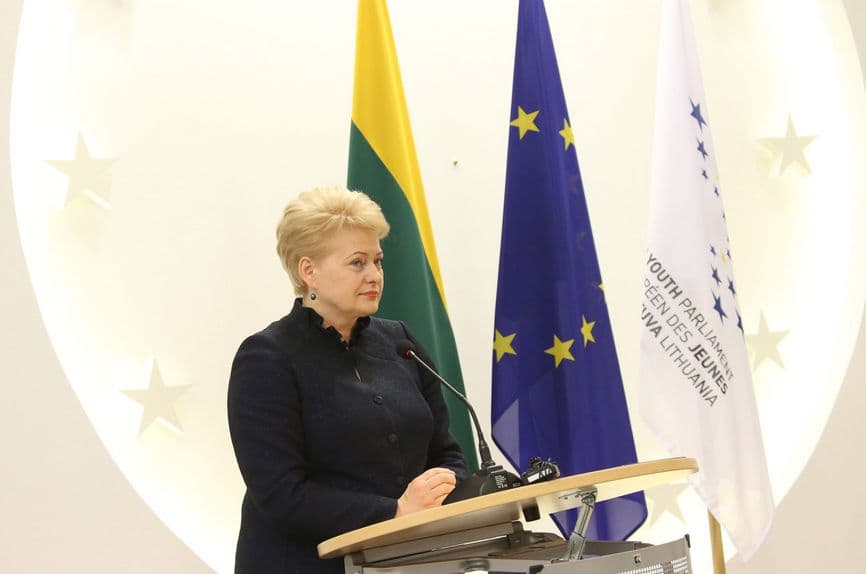 Kad ir kaip būtų skaudu, moralinių ir kriminalinių šešėlių sklaidymą FNTT istorijoje derėtų pradėti nuo prezidentės D. Grybauskaitės vaidmens ištyrimo ir įvertinimo.