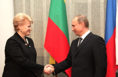 V. Putinas niekada neturėjo ir neturi priekaištų D. Grybauskaitei dėl jos atliekamo darbo.